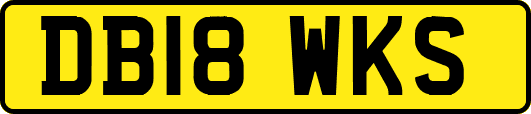 DB18WKS