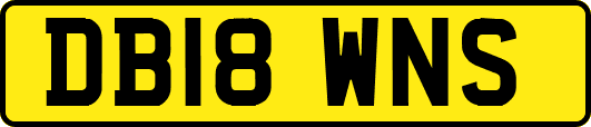 DB18WNS