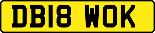 DB18WOK