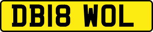 DB18WOL