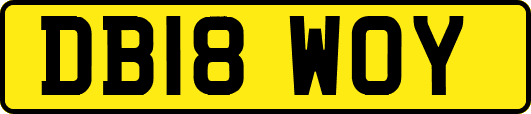 DB18WOY