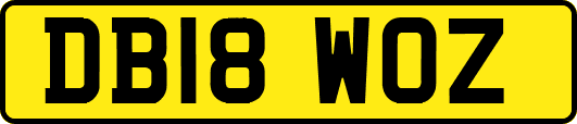 DB18WOZ