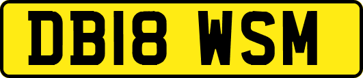 DB18WSM
