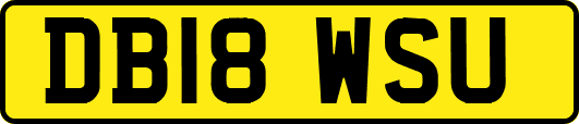 DB18WSU