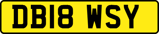 DB18WSY