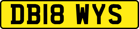 DB18WYS