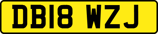 DB18WZJ