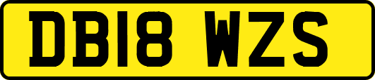 DB18WZS