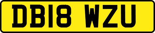 DB18WZU