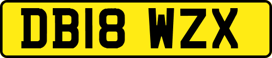 DB18WZX