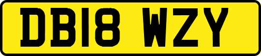 DB18WZY