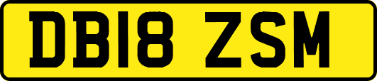 DB18ZSM