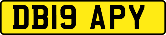 DB19APY