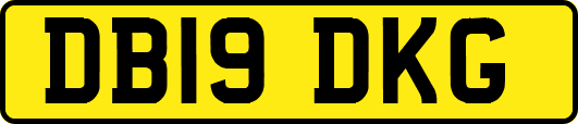 DB19DKG