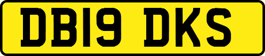 DB19DKS