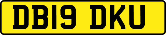 DB19DKU