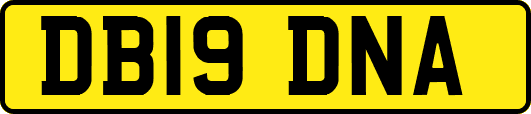 DB19DNA