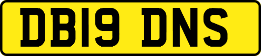 DB19DNS