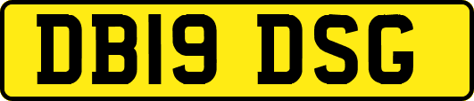 DB19DSG