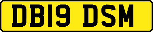 DB19DSM