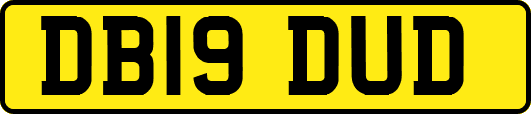 DB19DUD