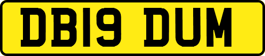 DB19DUM