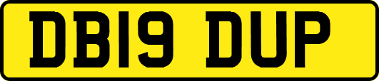 DB19DUP