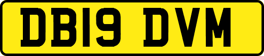 DB19DVM