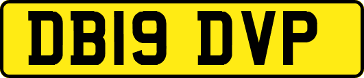DB19DVP