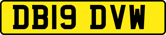 DB19DVW