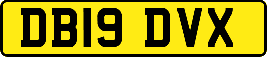 DB19DVX