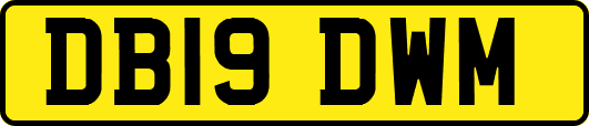 DB19DWM