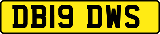 DB19DWS