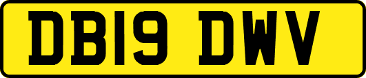DB19DWV
