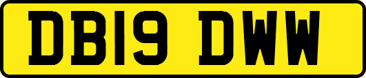 DB19DWW