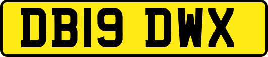 DB19DWX