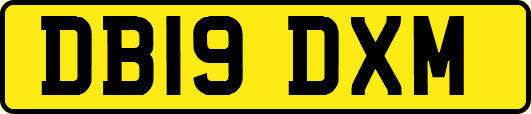 DB19DXM