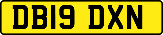 DB19DXN