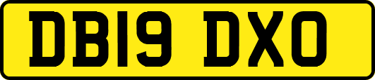 DB19DXO