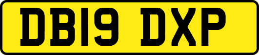 DB19DXP
