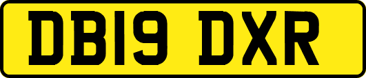 DB19DXR