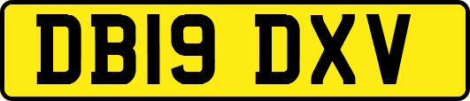DB19DXV