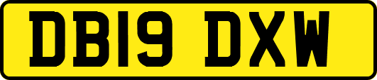 DB19DXW
