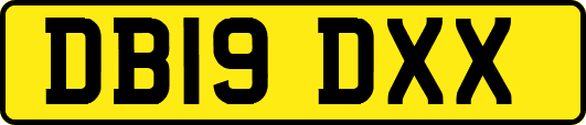 DB19DXX