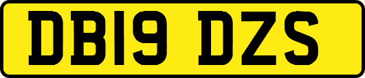 DB19DZS