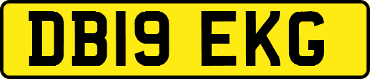 DB19EKG