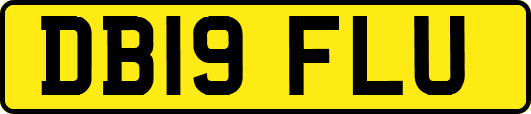 DB19FLU