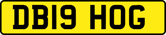DB19HOG