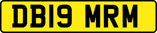 DB19MRM