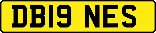 DB19NES
